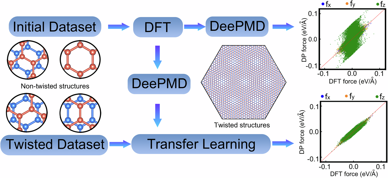 Transfer-learning workflow from untwisted molybdenum ditelluride data to neural-network force prediction and relaxed twisted bilayers