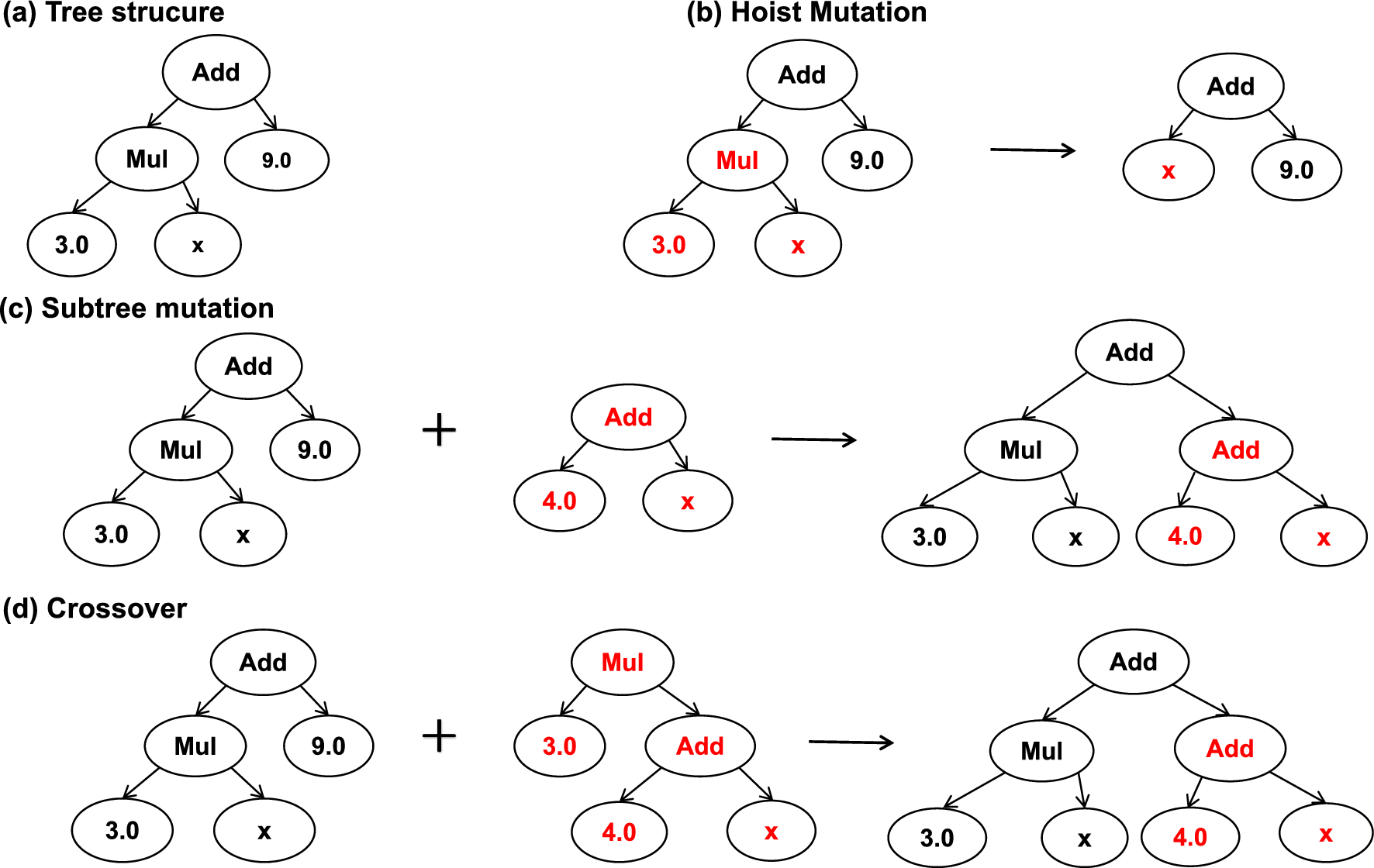 Tree-structured genetic programs with hoist mutation, subtree mutation, and crossover operations used in symbolic regression