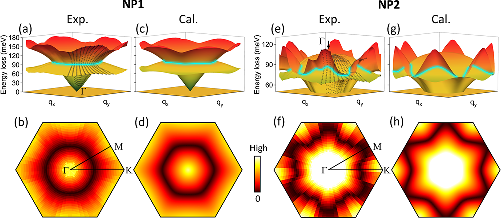Experimental and calculated phonon dispersions and gap maps showing nodal rings in graphene